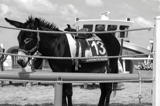 bKNE240720161341 mini